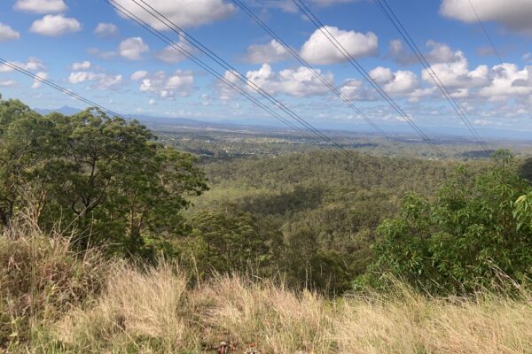 View from Moggill Forest