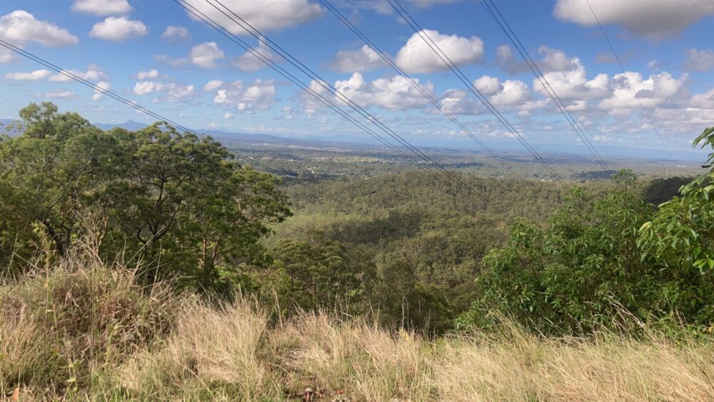 View from Moggill Forest