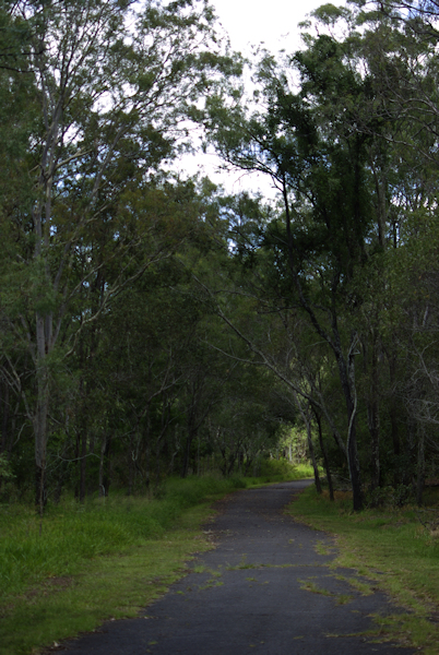 Photo of Anstead Bushland Reserve