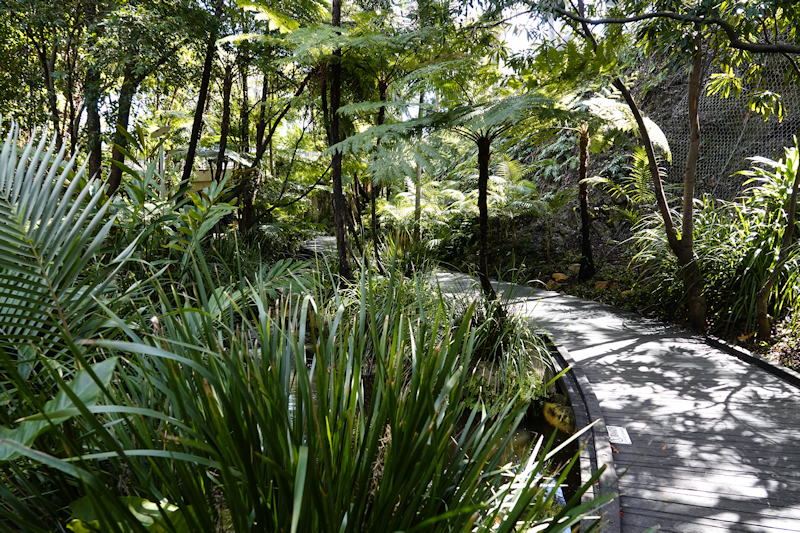 Image of a Roma st parkland