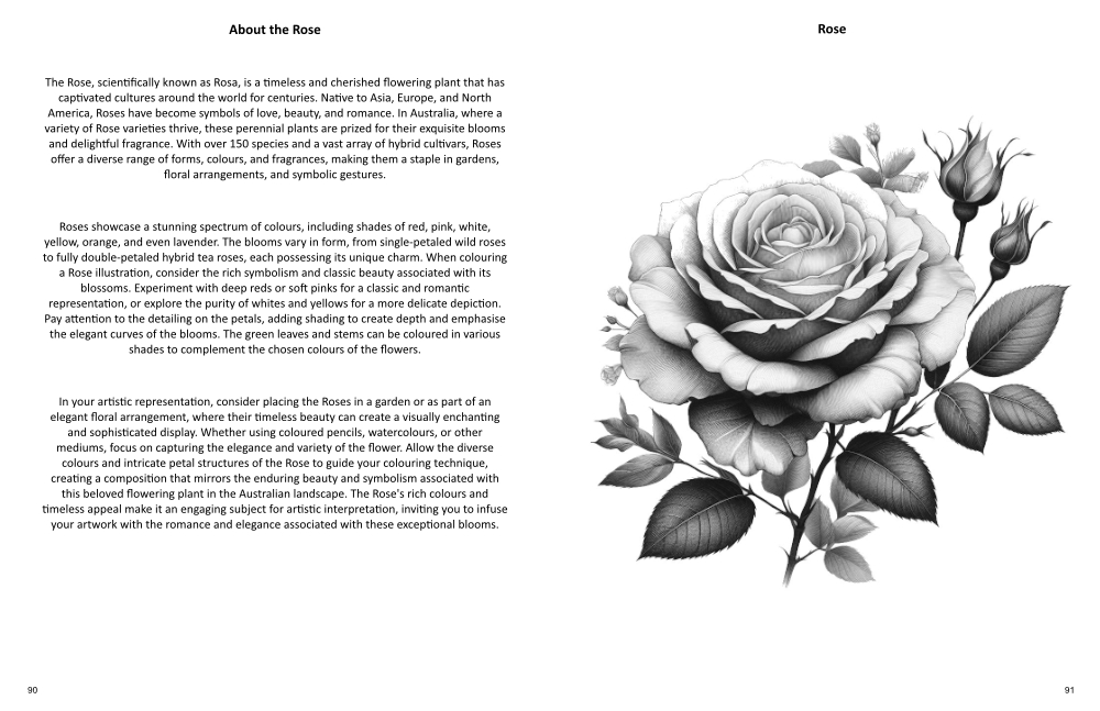 Blooming Marvellous Colouring Book sample page of a rose