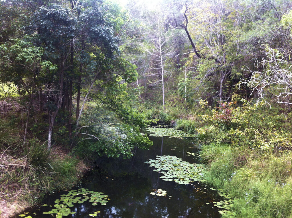 Gold Creek Reservoir below the wall