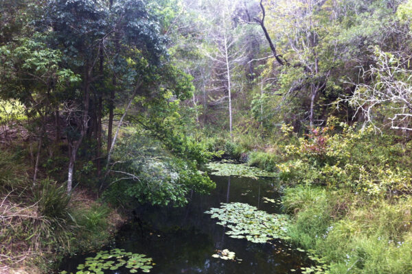 Gold Creek Reservoir below the wall