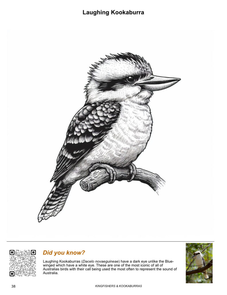 Laughing Kookaburra page in the book