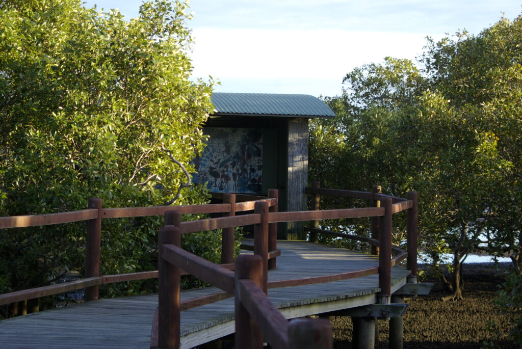 Boondall hide