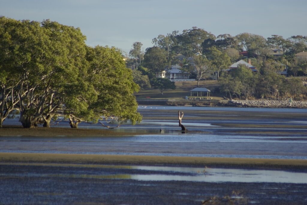 Nudgee beach