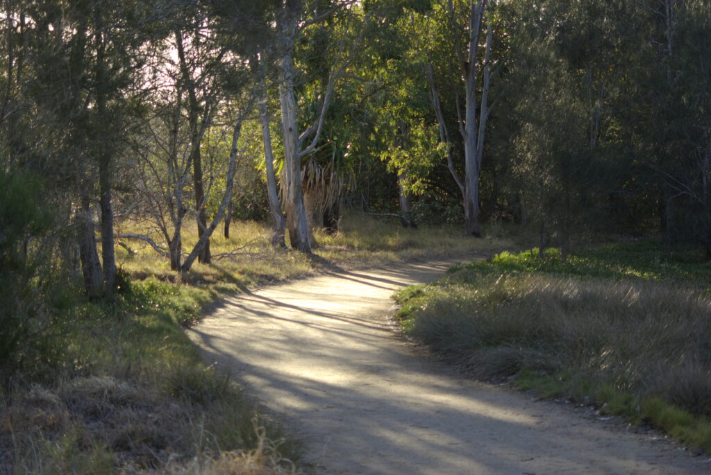 Boondall wetlands walking track