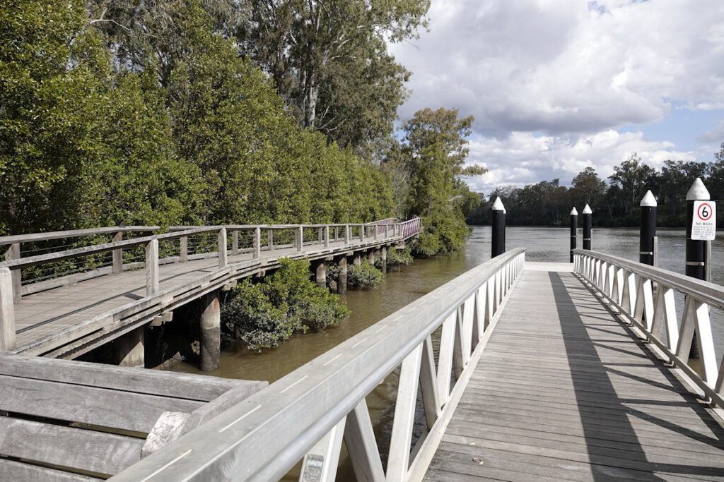 Sherwood Arboretum boardwalk