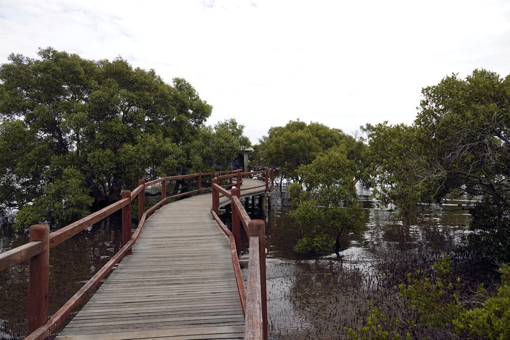  Nudgee Beach boardwalk