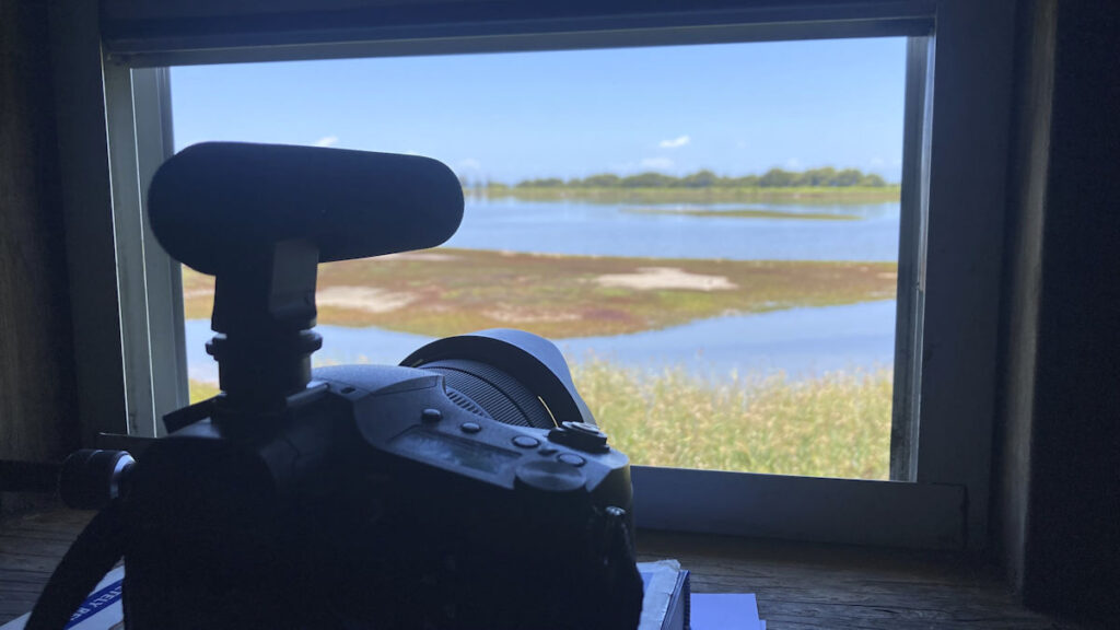 Port Of Brisbane Shorebird Roost Hide Window