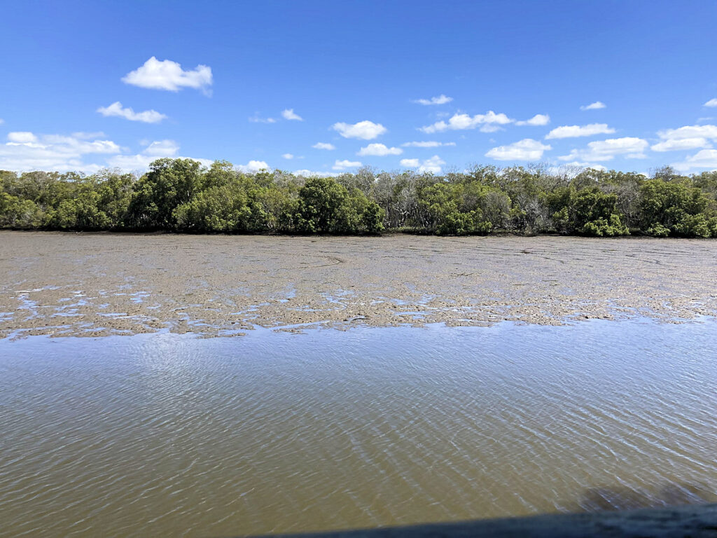 Tinchi Tamba Bird Hide View Of Mudflats