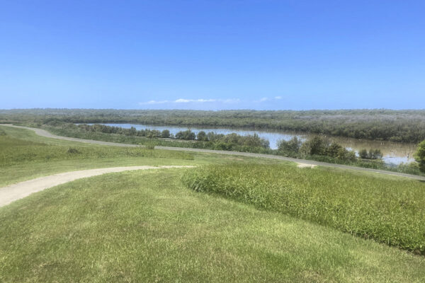 Wynnum Bird Hide Overview