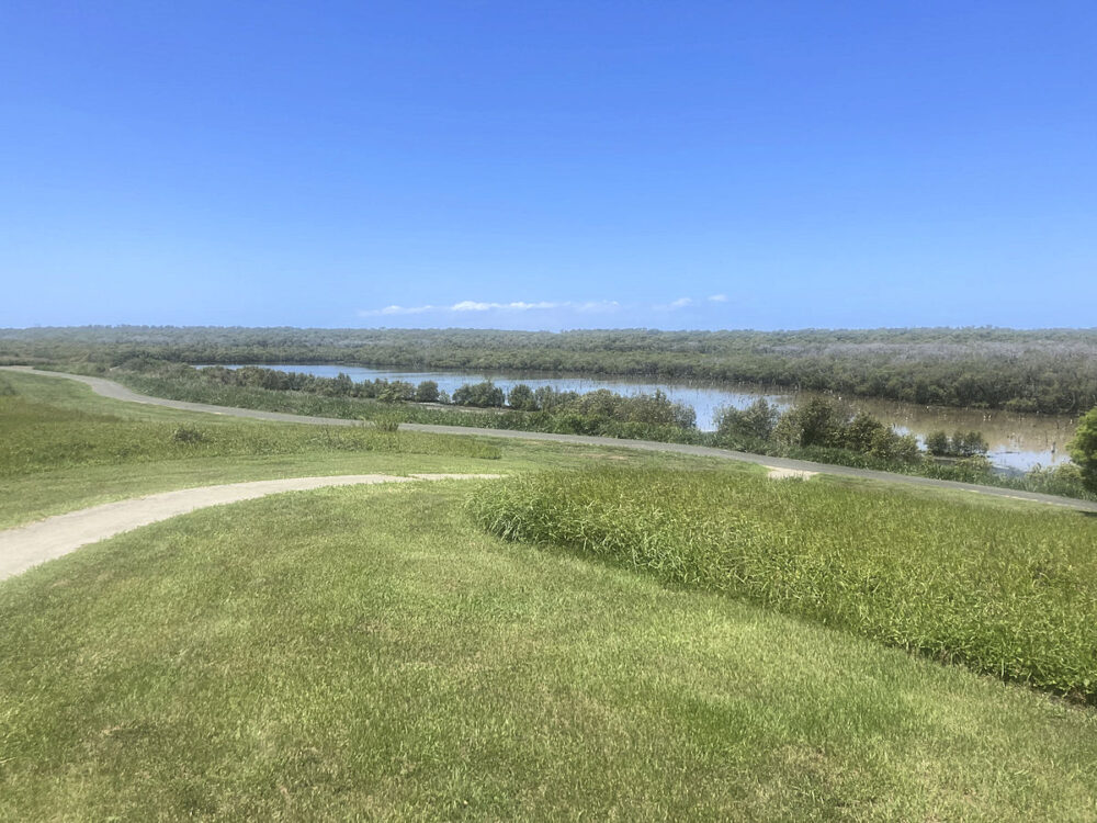 Wynnum Bird Hide Overview