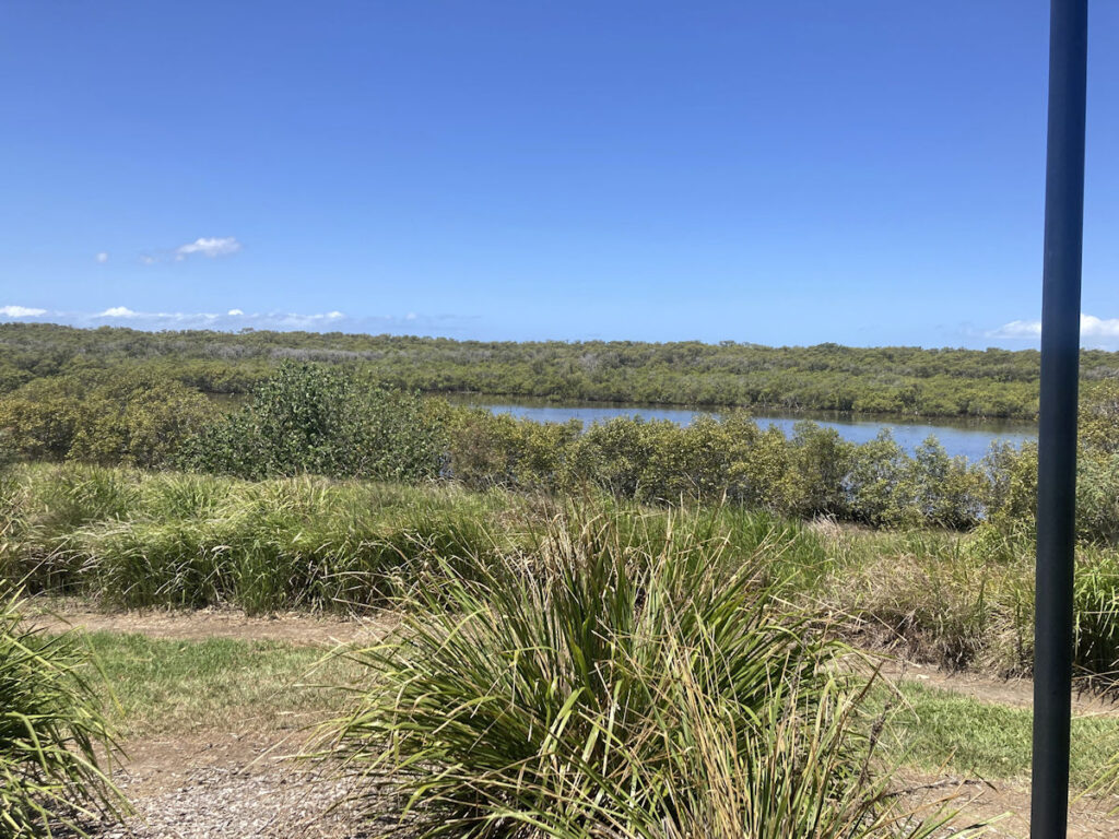 Wynnum Bird Hide View