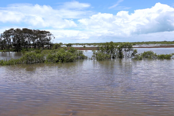 Geoff Skinner Wetlands