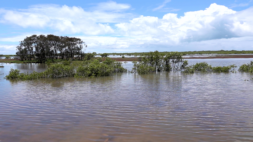 Geoff Skinner Wetlands