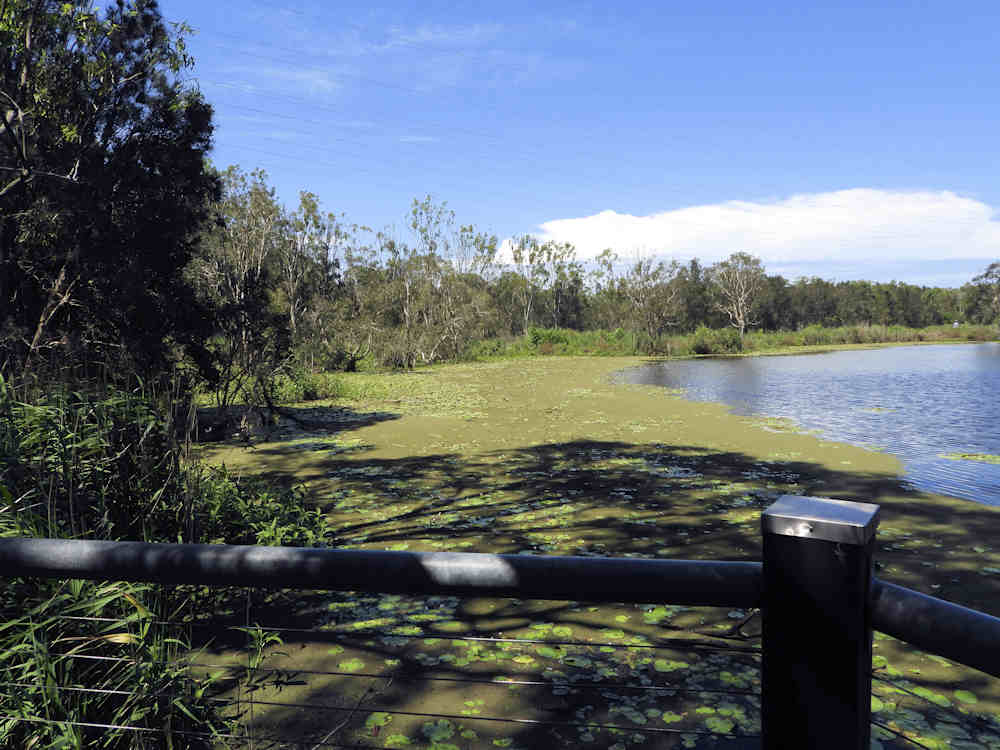 Sandy Camp Wetlands Reserve