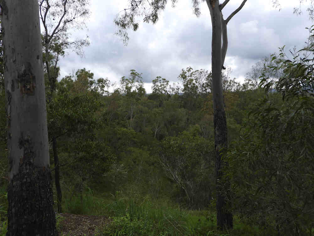 Shelley Road Park Reserve 6