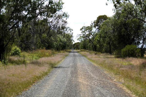 Devon Park Boundary Road