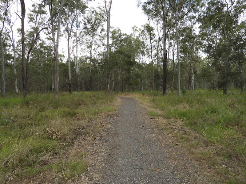 Pooh Corner Bushland Reserve Walking Track