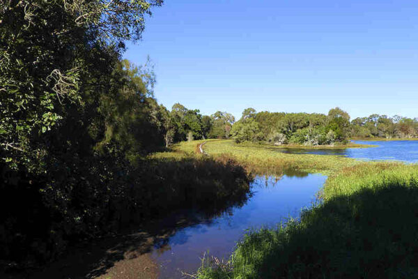 Sandgate Second Lagoon Reserve