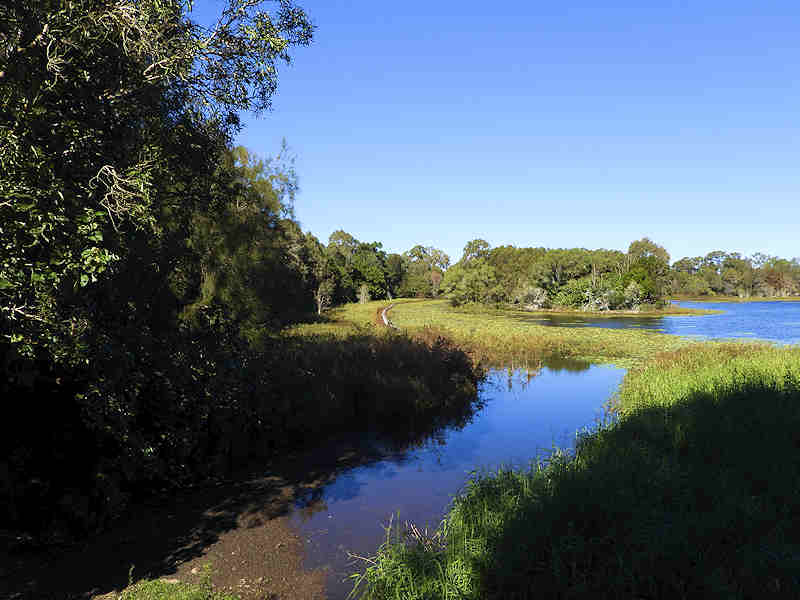 Sandgate Second Lagoon Reserve