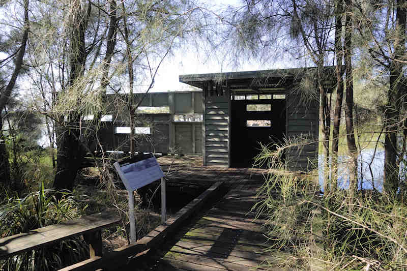 Lakegalletlybirdhide