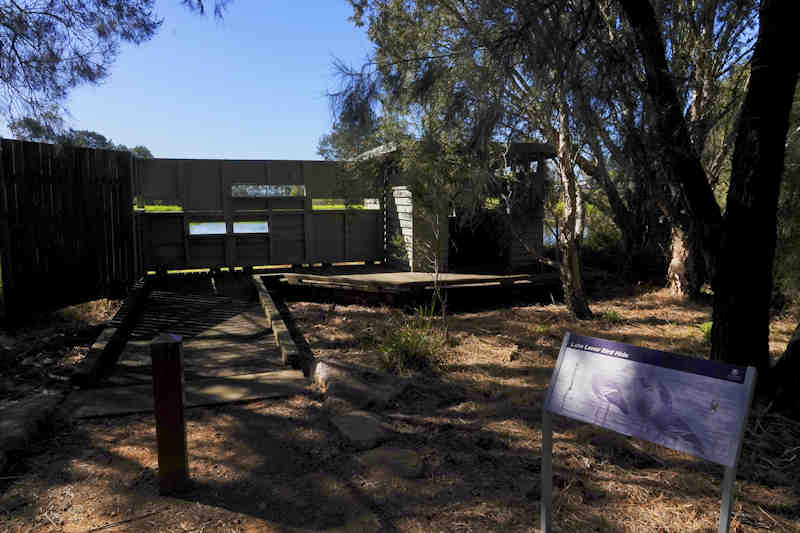 Lakelenorbirdhide