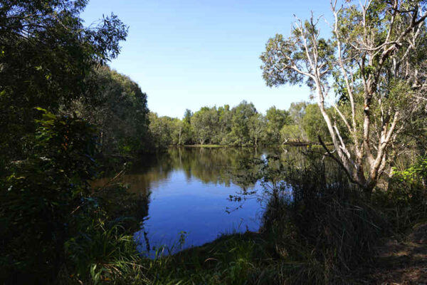 Bibimulya Wetlands