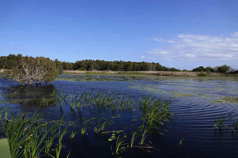 Buckley's Hole Birdhide View