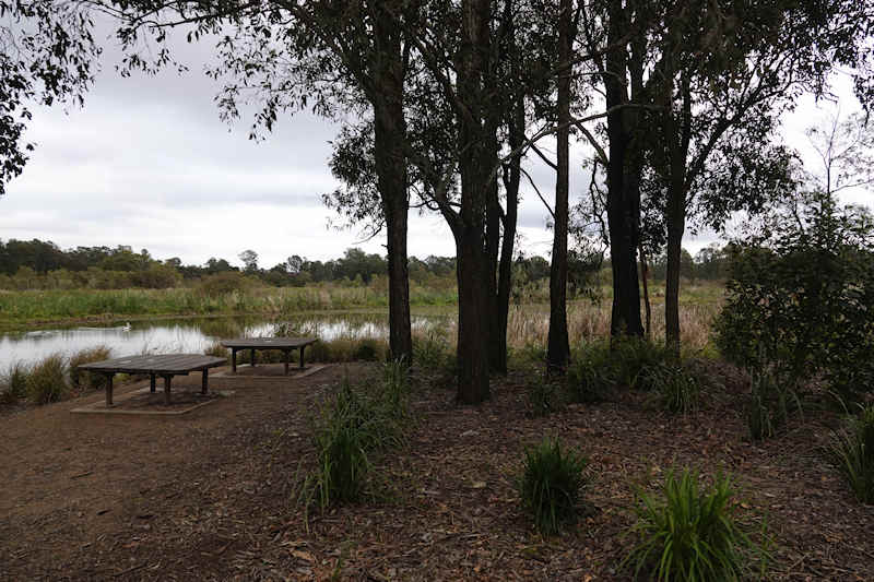 Archerfield Wetland Reserve Lookout