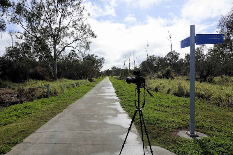 Archerfield Wetland Reserve Track