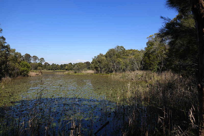 Berrinba Wetland Reserve Birdhide View