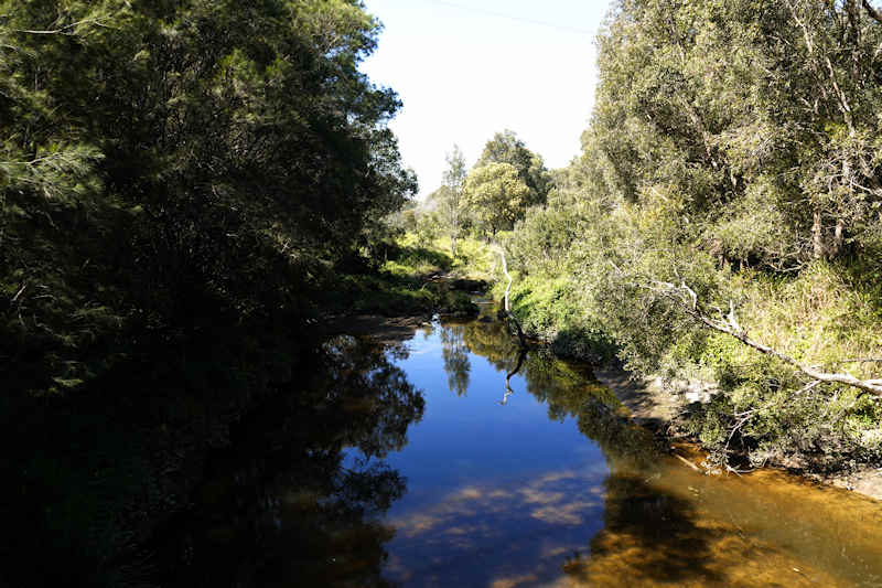 Berrinba Wetland Reserve Creek