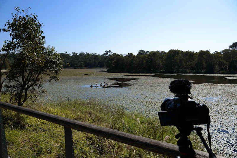 Berrinba Wetland Reserve Main Dam