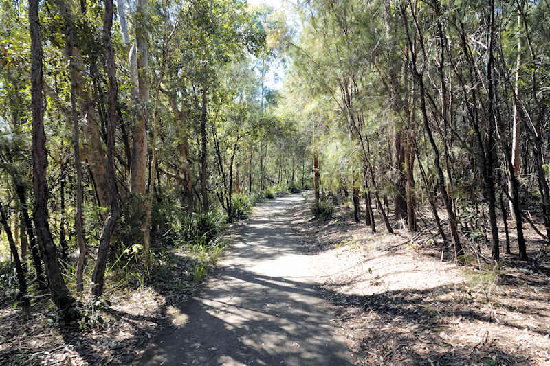 Berrinba Wetland Reserve Walking Trail