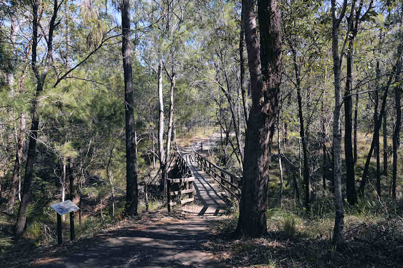 Karawatha Forest Reserve Bridge