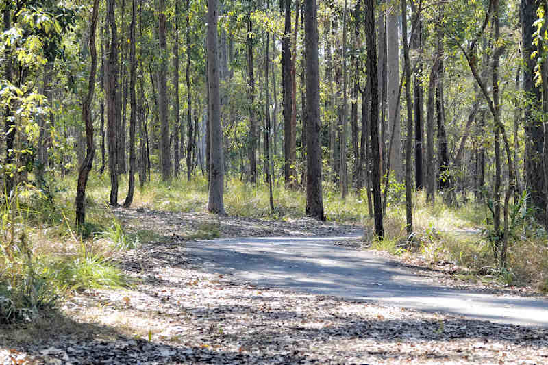 Karawatha Forest Reserve Sealed Trail