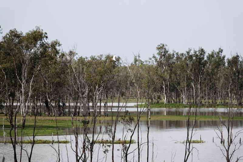 Lake Broadwater Bird Hide View 2